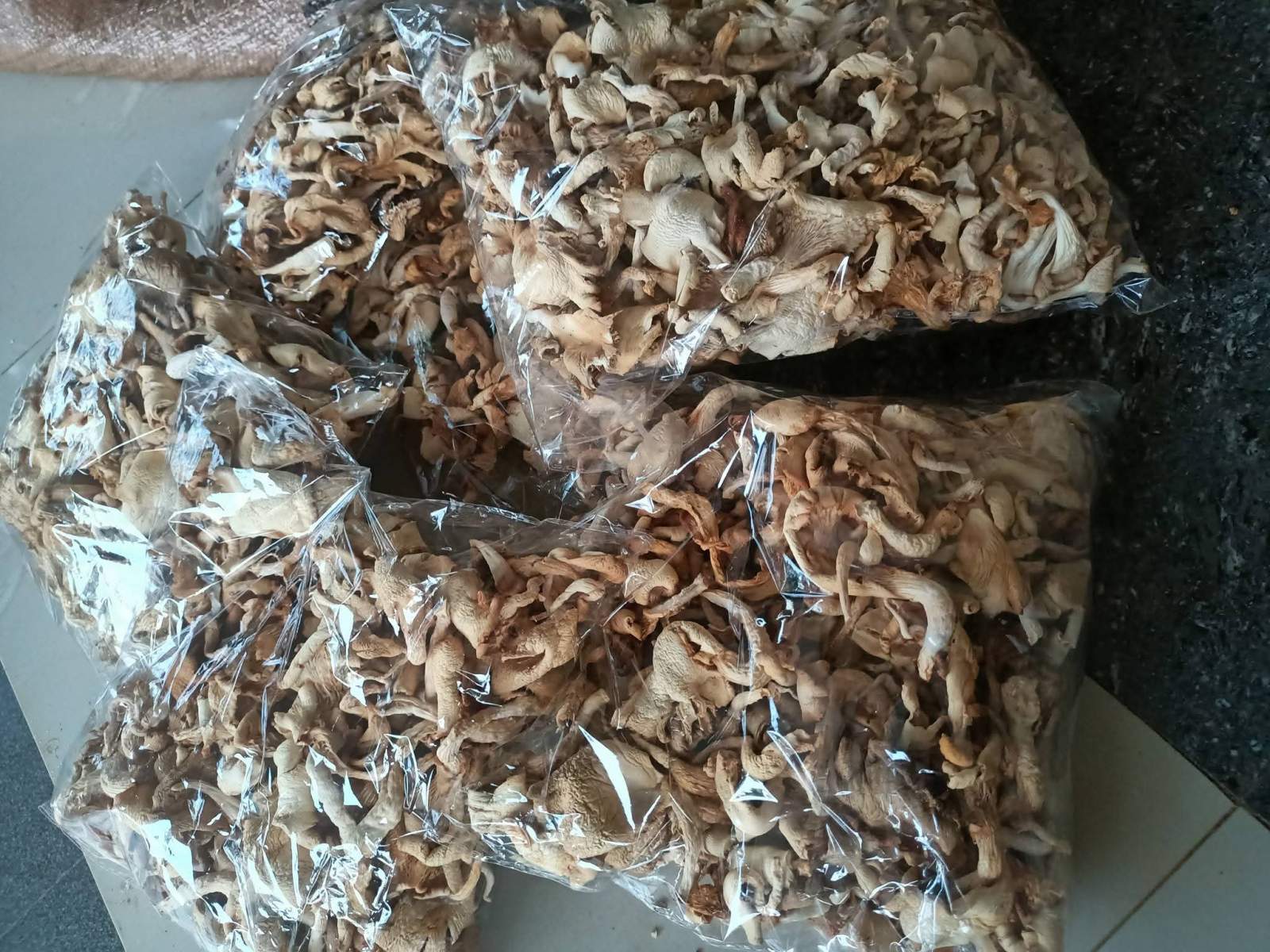 Dehydrated Oyster Mushroom image 3