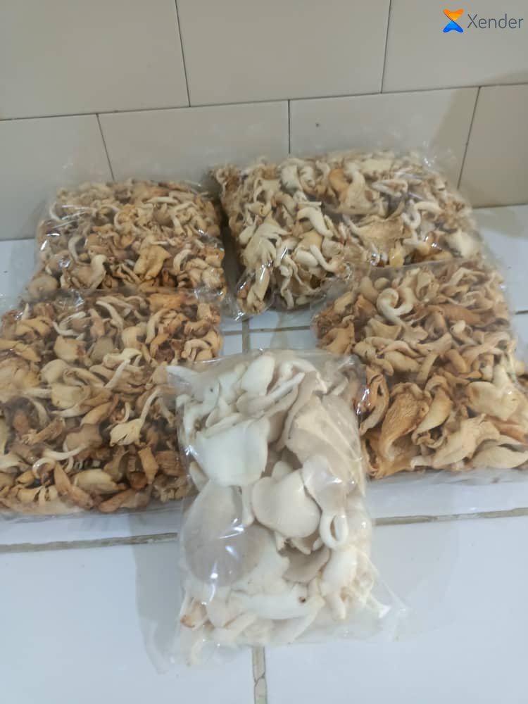 Dehydrated Oyster Mushroom image 2